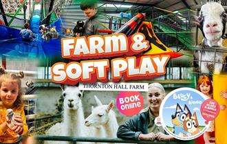 Bluey and Bingo at Thornton Hall Country