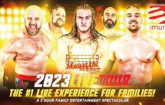 Megaslam Wrestling