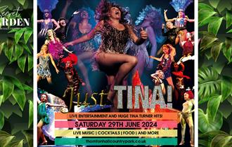 Just Tina: Tribute