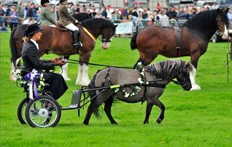 Trawden & District Agricultural Show