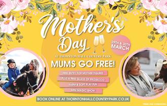 Mother's Day at Thornton Hall Country Park