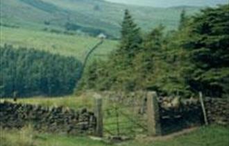 Ogden Reservoir Walk