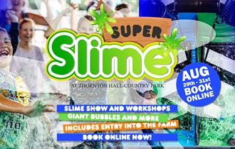 Super Slime at Thornton Hall Country Park