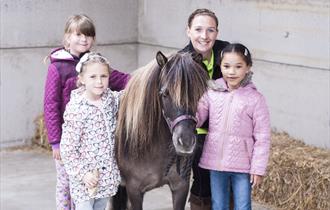 Half Term Farm Fun at Thornton Hall Farm