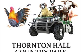Pony World at Thornton Hall Farm