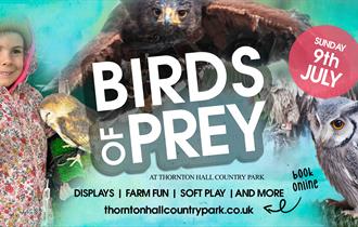 Birds of Prey at Thornton Hall Country Park