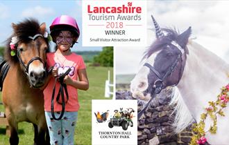 Pony World at Thornton Hall Country Park
