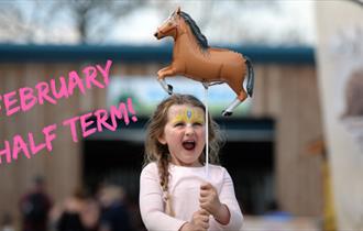 February Half Term at Thornton Hall Farm