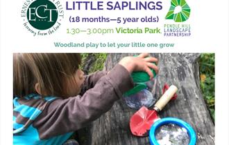 Little Saplings