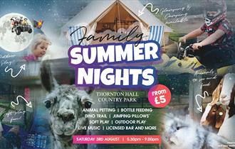 Family Summer Night
