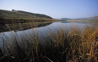 Pendle Reservoir Walks