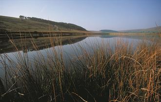 Black Moss Reservoir Walk