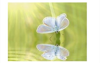 Creating Sacred Spaces - Rainhall Centre