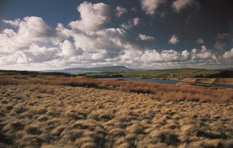 Pendle Way Section 5