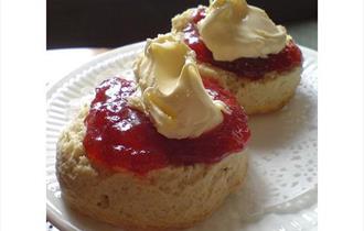 Cream Tea Cinema - The Best Exotic Marigold Hotel (12A)