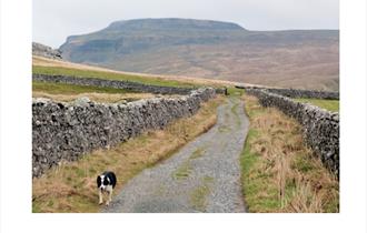 Ingleborough - A talk by David Johnson -  Rainhall Centre