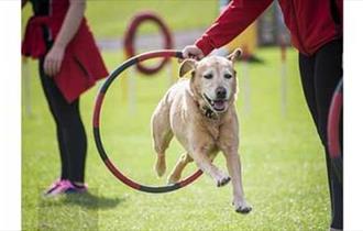 Easter Fun & K9 2000 Canine Display Team