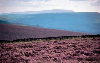 Kelbrook Circular Walk