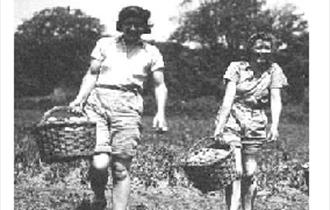 Lights Out Land Girls