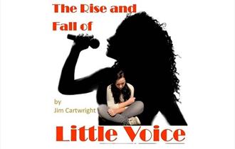 The Rise and Fall of Little Voice