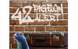 42 Pigeon Alert - Pendle Borderline Theatre Company