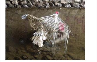 River Clean Up - Victoria Park, Nelson