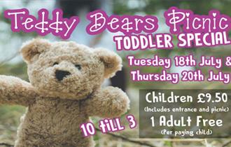 Teddy Bear's Picnic