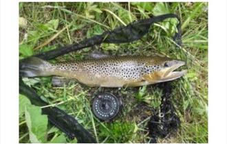 Colne Water Angling Club Open Days