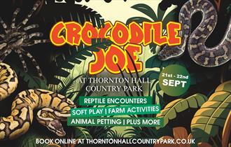 Crocodile Joe