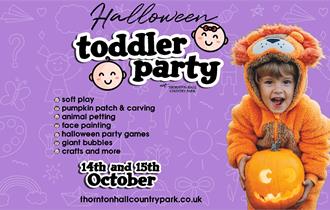Halloween Toddler Party