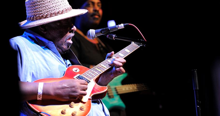 Picture of guitar player at the Blues Festival