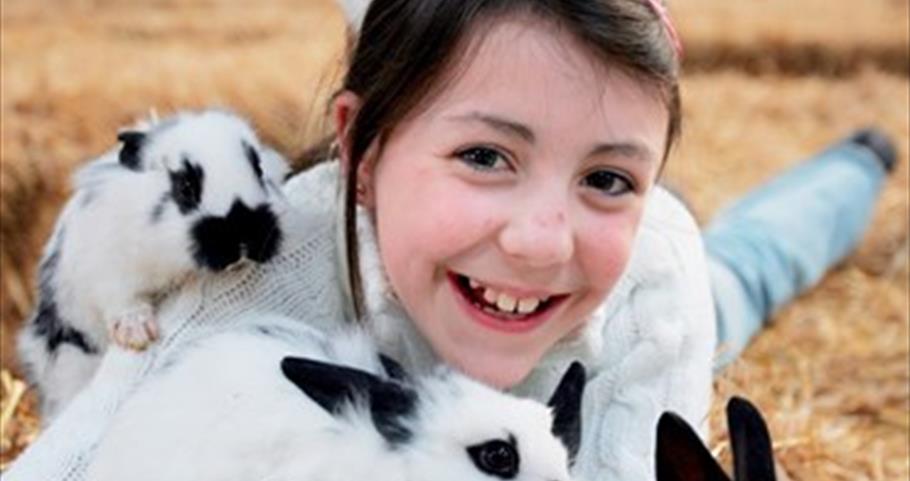 Picture of rabbits and girl at Thornton Hall Farm