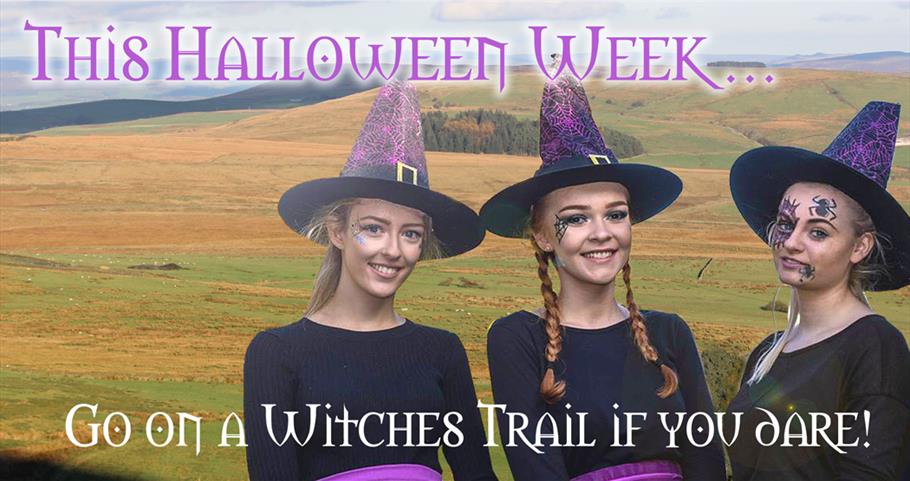 Halloween Week...Go on the Witch Trail