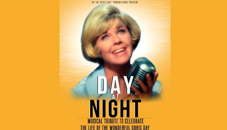 Day At Night: A Musical Tribute to Doris DayAY