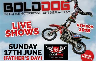 'Bolddog' Freestyle Motocross Stunt Display Team at Thornton Hall Farm