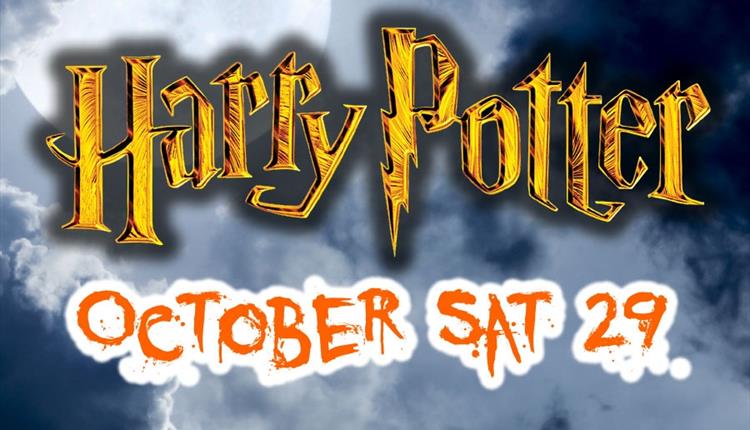 Halloween Harry Potter
