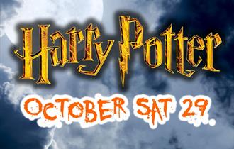 Halloween Harry Potter