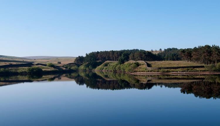 Nelson Angling Association - Coldwell