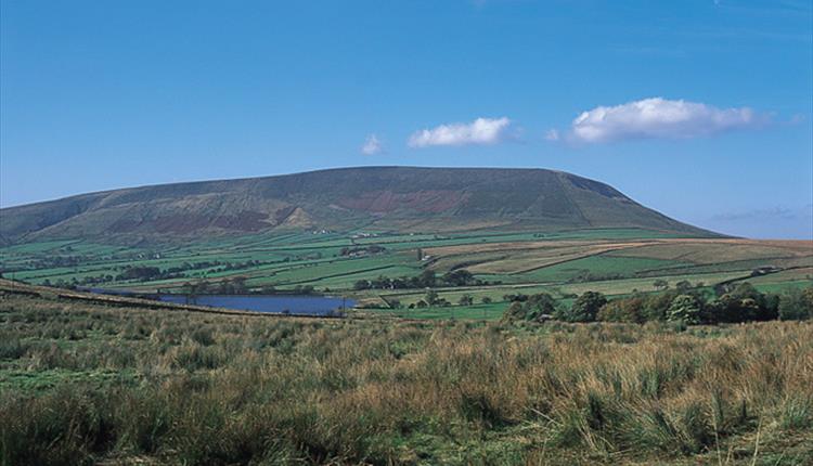 Pendle Sculpture Trail Guided Walk