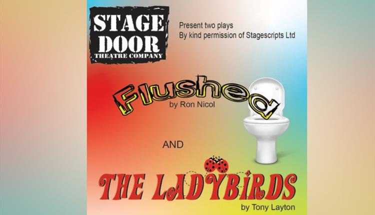 Stage Door Theatre Company presents "Flushed" and "Ladybirds"