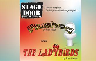 Stage Door Theatre Company presents "Flushed" and "Ladybirds"