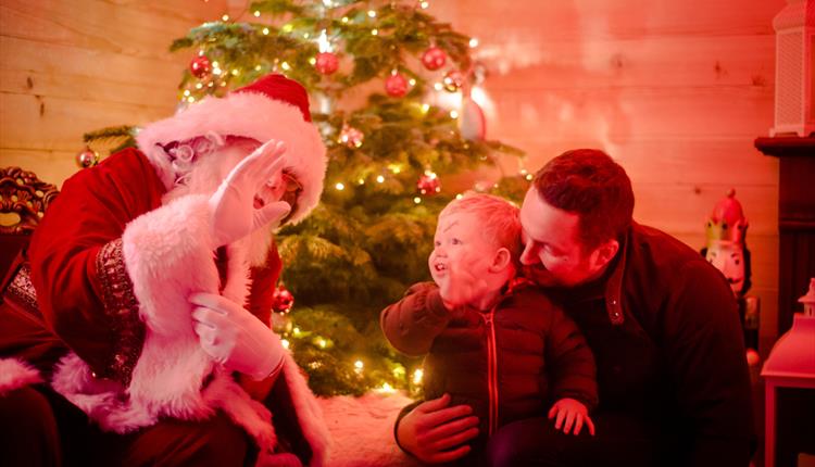 A Toddler Christmas Experience at Thornton Hall Country Park