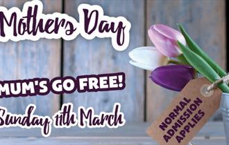 Mums Go Free this Mother's Day at Thornton Hall Farm