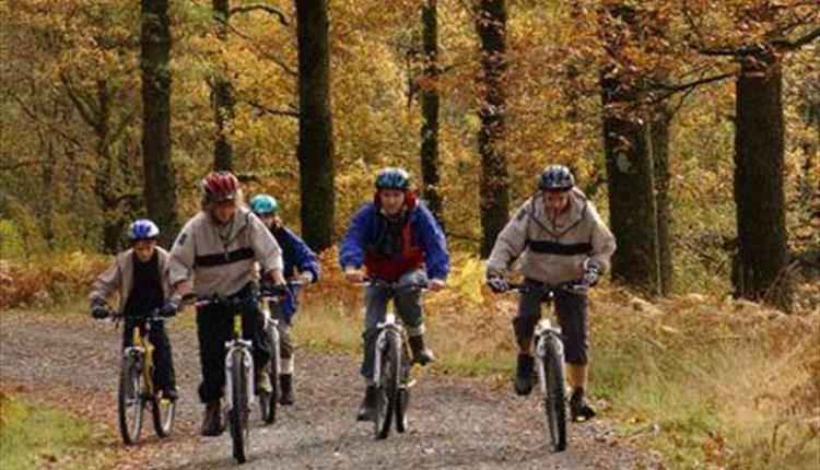 HSBC Lets Ride Bike Ride