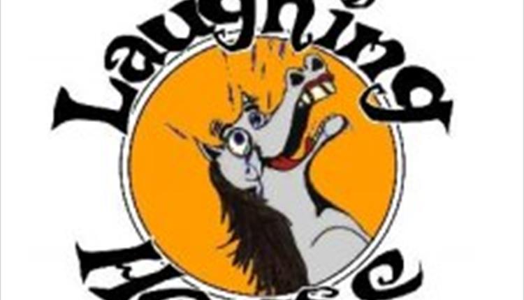 Stand Up Comedy : The Laughing Horse - Ace Centre