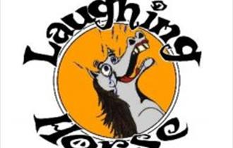 Stand Up Comedy : The Laughing Horse - Ace Centre