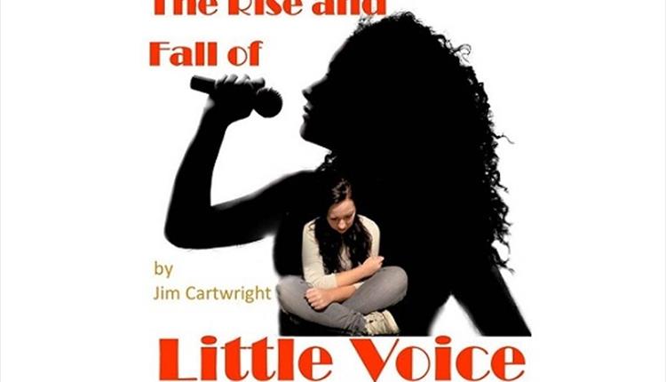 The Rise and Fall of Little Voice