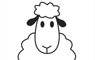 Sheep Shearing Displays