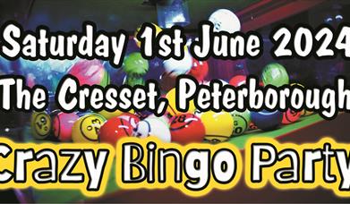 Crazy Bingo Party