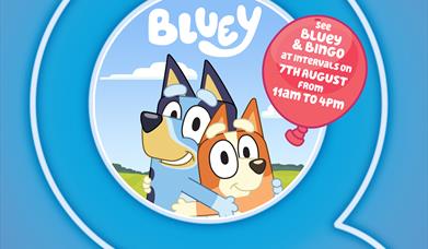 Calling all Bluey and Bingo fans to Queensgate this summer!